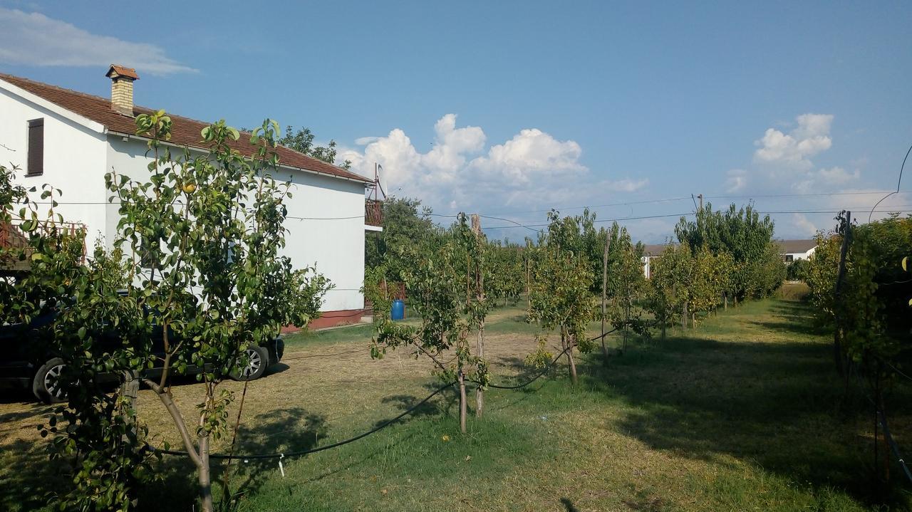 Airport home Radinovic Podgorica Exterior foto